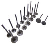 Exhaust and Intake Valve Kit - 2002 Toyota Tacoma 2.7L Engine Parts # VK16939ZE28