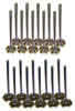 Exhaust and Intake Valve Kit - 1995 Dodge Ram 2500 8.0L Engine Parts # VK201180ZE2