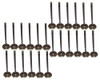 Exhaust and Intake Valve Kit - 2015 Ford F-150 3.5L Engine Parts # VK244198ZE19