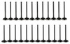 Exhaust and Intake Valve Kit - 2015 Subaru Outback 3.6L Engine Parts # VK24729ZE15