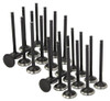 Exhaust and Intake Valve Kit - 2002 Toyota Tundra 3.4L Engine Parts # VK24958ZE28