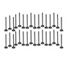 Exhaust and Intake Valve Kit - 2007 Chevrolet Express 2500 6.6L Engine Parts # VK323220ZE2