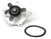 Water Pump - 2004 Dodge Grand Caravan 3.8L Engine Parts # WP1137ZE35