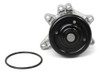 Water Pump - 2000 Toyota Celica 1.8L Engine Parts # WP943ZE12