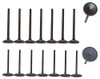 Exhaust and Intake Valve Kit for 2017 Ram 3500 5.7L|Engine Parts Only|VK161163XP85