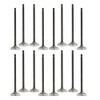 Exhaust and Intake Valve Kit for 2009 Pontiac Vibe 1.8L|Engine Parts Only|VK16928XP6