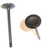 1988 Chevrolet Spectrum 1.5L Engine Intake Valve IV303 -4