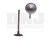 2008 Suzuki XL-7 3.6L Engine Exhaust Valve EV535 -4