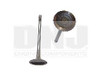 2006 Audi A4 Quattro 2.0L Engine Intake Valve IV802 -5