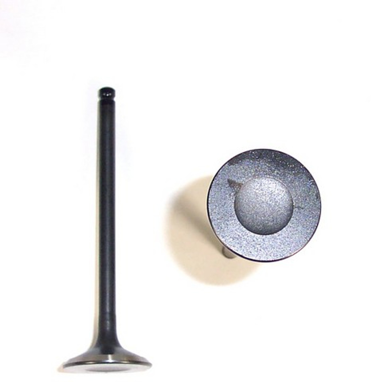 Exhaust Valve 3.2L 1995 Isuzu Rodeo - EV350.9