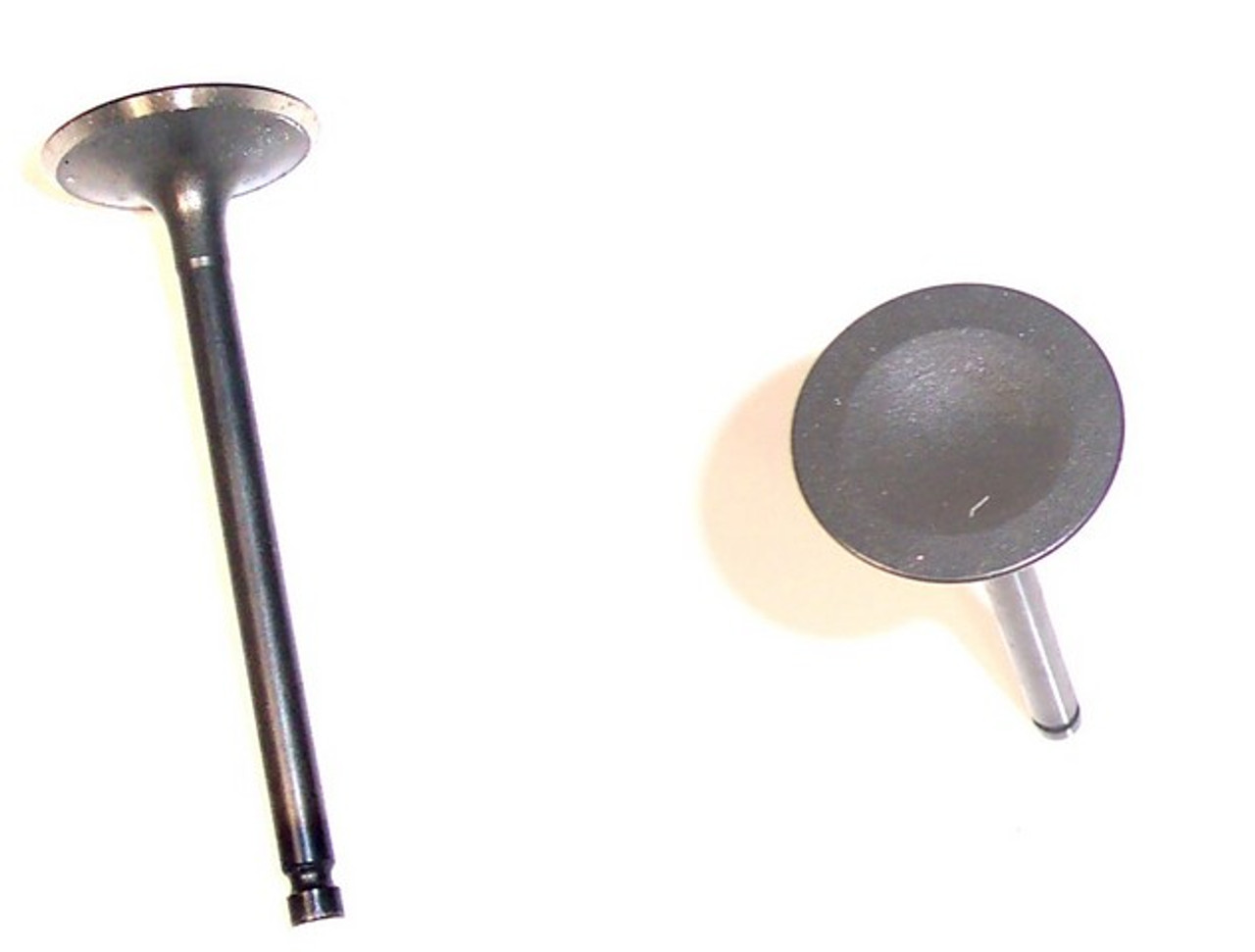 Intake Valve 1.6L 1988 Nissan Pulsar NX - IV605.4