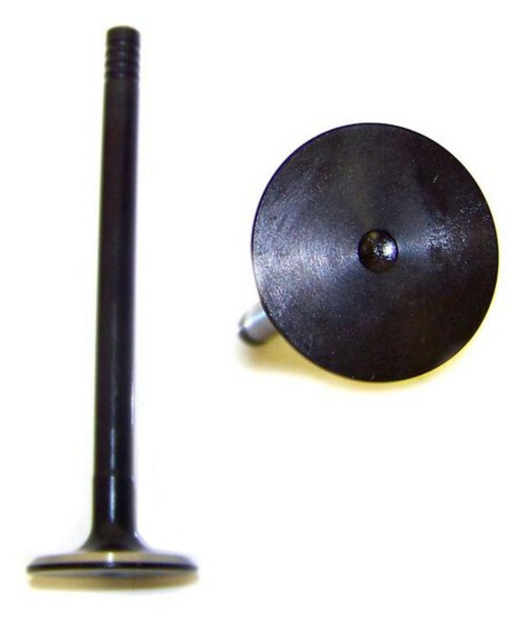 Exhaust Valve - 1989-1995 Ford,Lincoln,Mercury 3.8L Part # EV4116