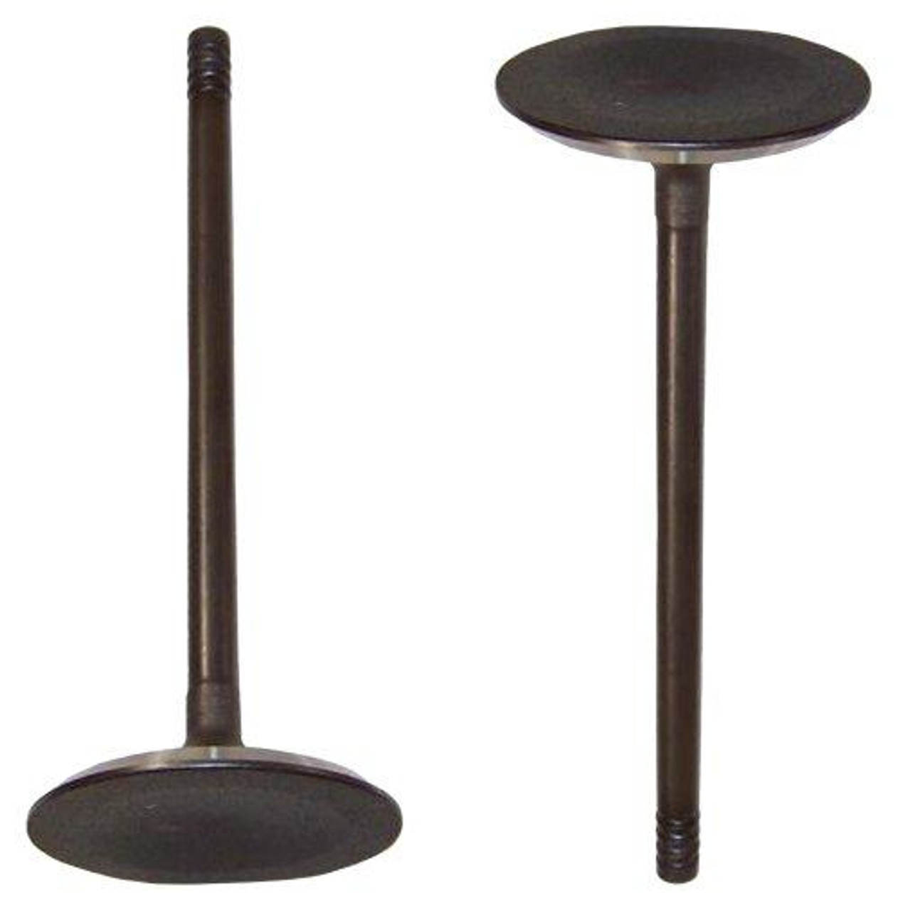 Intake Valve Part # IV1137.P