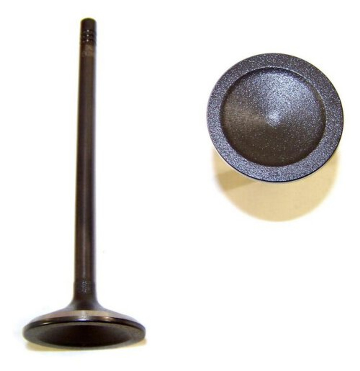 Exhaust Valve - 2009 Chevrolet Colorado 3.7L Engine Parts # EV3140ZE11