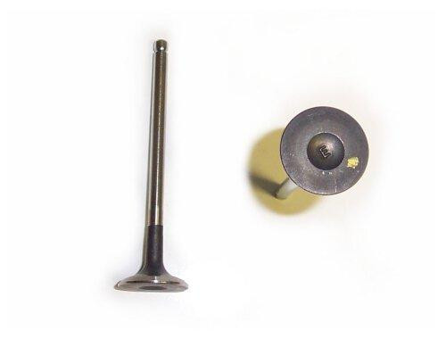Exhaust Valve - 2007 Chevrolet Aveo 1.6L Engine Parts # EV325ZE4