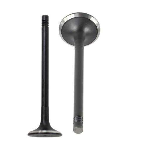 Exhaust Valve - 2007 Audi A3 2.0L Engine Parts # EV802ZE11