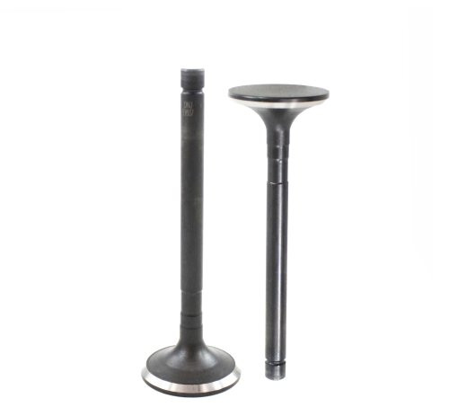 Exhaust Valve - 1989 Toyota Van 2.2L Engine Parts # EV937ZE5