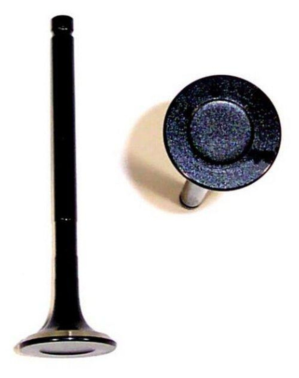 Exhaust Valve - 1996 Toyota Supra 3.0L Engine Parts # EV944ZE31