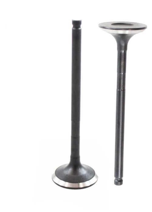 Exhaust Valve - 2002 Toyota Echo 1.5L Engine Parts # EV949ZE9