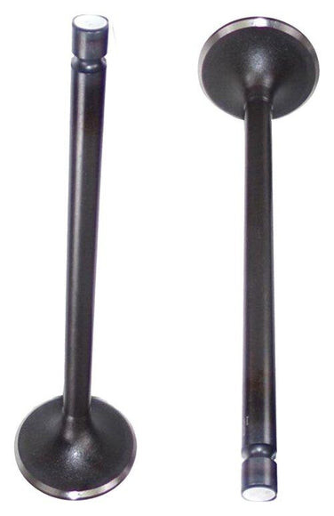 Intake Valve - 2012 Ram 5500 6.7L Engine Parts # IV1165ZE59