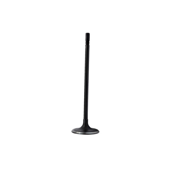 Intake Valve - 2016 Dodge Dart 2.0L Engine Parts # IV1170ZE4