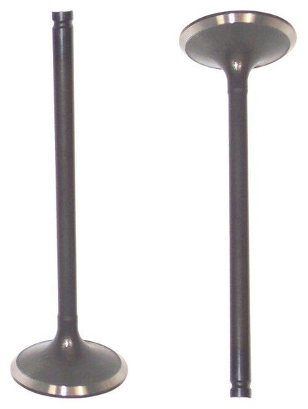 Intake Valve - 1997 Acura TL 2.5L Engine Parts # IV219ZE3