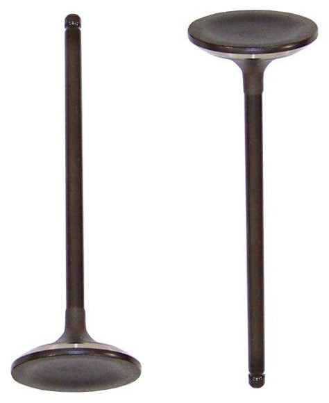 Intake Valve - 2006 Acura RL 3.5L Engine Parts # IV263AZE29