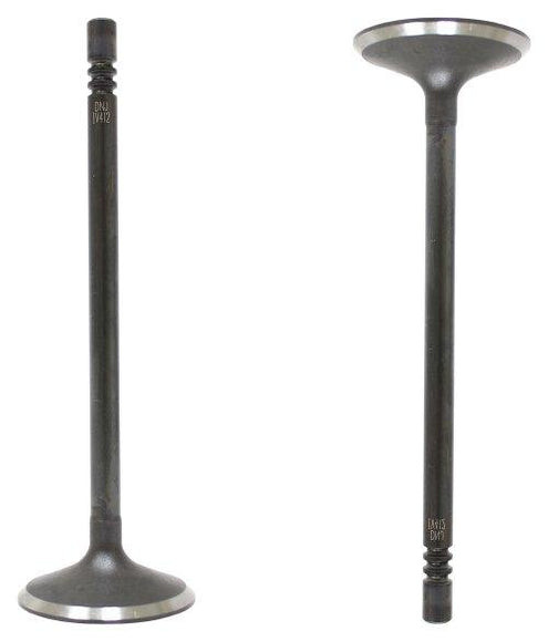 Intake Valve - 2004 Ford Escape 3.0L Engine Parts # IV412ZE4