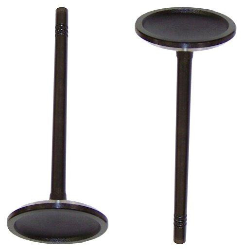 Intake Valve - 2002 Ford Mustang 4.6L Engine Parts # IV4149ZE241