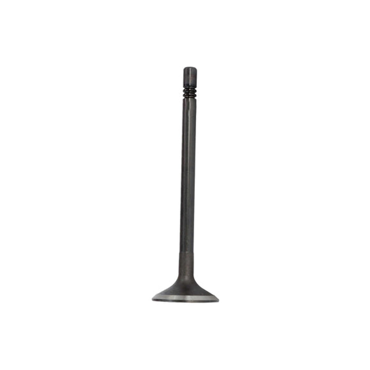 Intake Valve - 2010 Volkswagen Golf 2.0L Engine Parts # IV4256ZE8