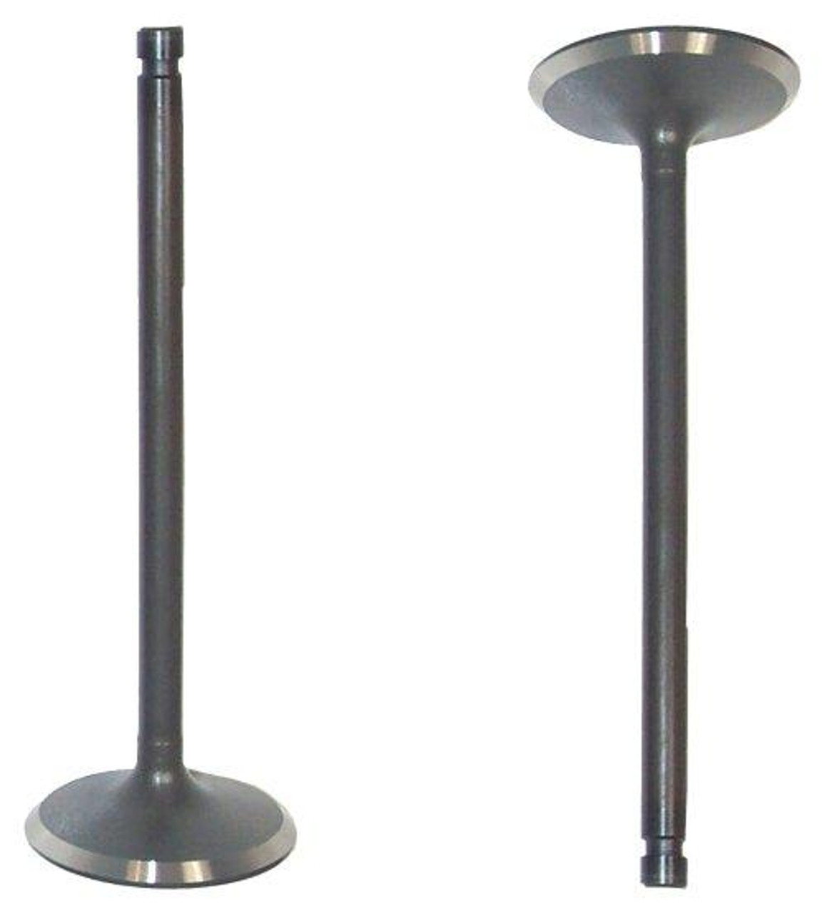 Intake Valve - 1985 Nissan Maxima 3.0L Engine Parts # IV616ZE28