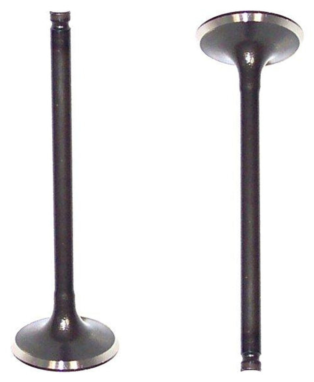 Intake Valve - 1996 Nissan Sentra 1.6L Engine Parts # IV641ZE13