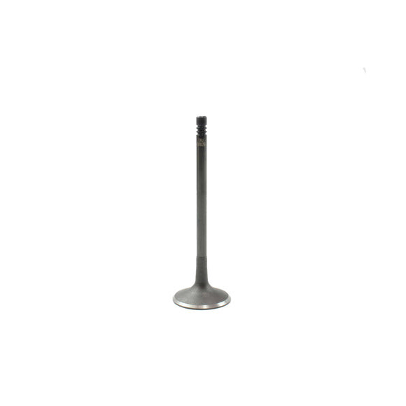 Intake Valve - 2010 Audi R8 4.2L Engine Parts # IV802BZE3