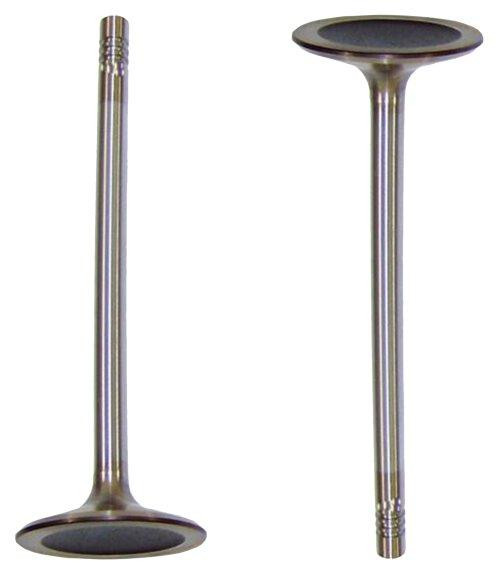 Intake Valve - 2012 Audi A7 Quattro 3.0L Engine Parts # IV814ZE34