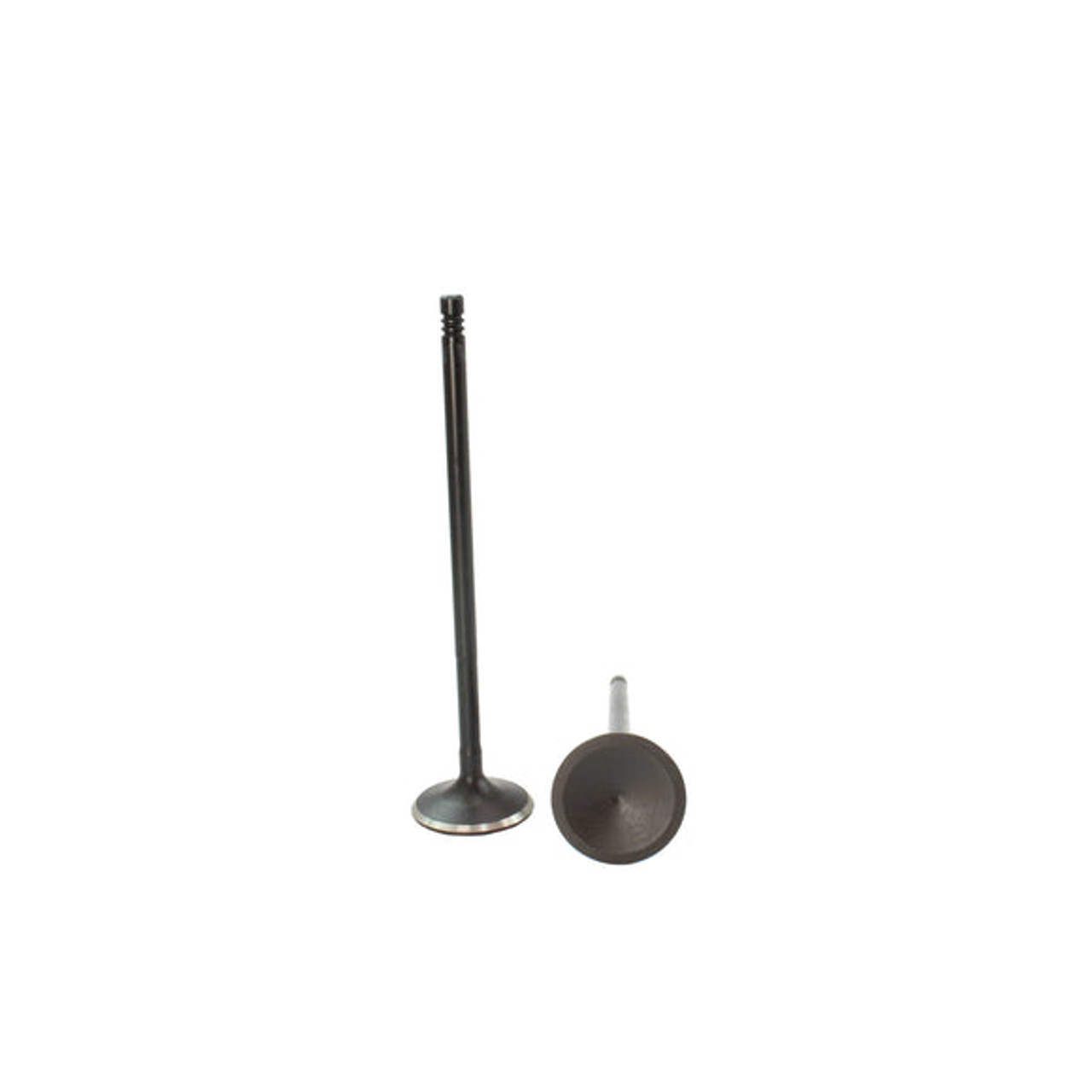 Intake Valve - 2007 Volkswagen Eos 3.2L Engine Parts # IV816AZE21