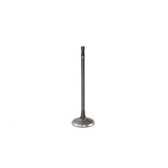 Intake Valve - 2013 BMW 328i 2.0L Engine Parts # IV843ZE19