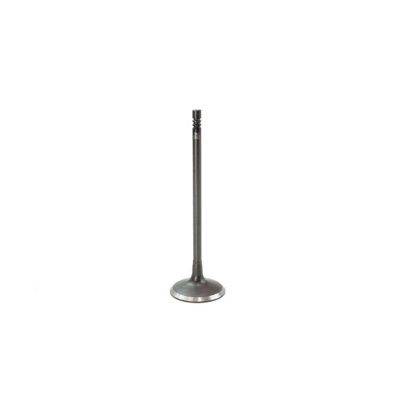 Intake Valve - 2015 BMW X3 2.0L Engine Parts # IV843ZE107