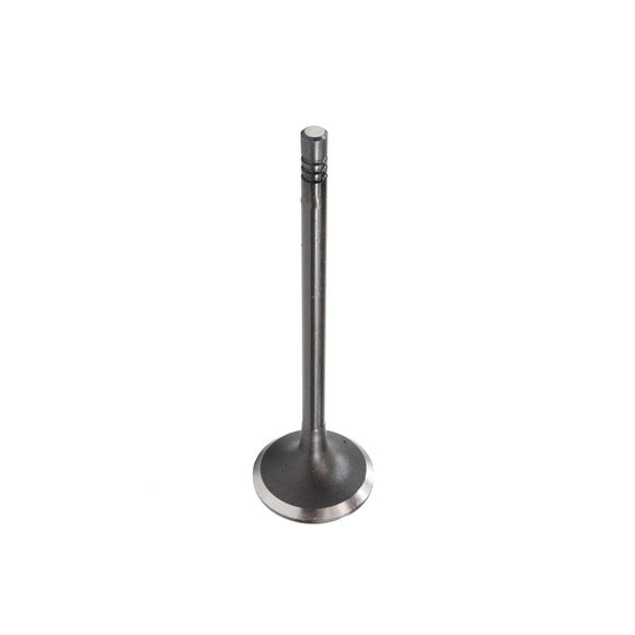 Intake Valve - 2015 BMW X3 2.0L Engine Parts # IV844ZE10
