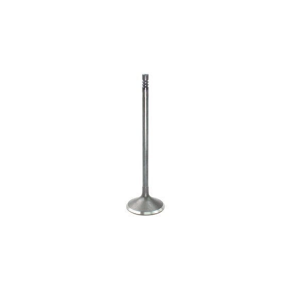 Intake Valve - 2012 BMW 740Li 3.0L Engine Parts # IV856ZE28