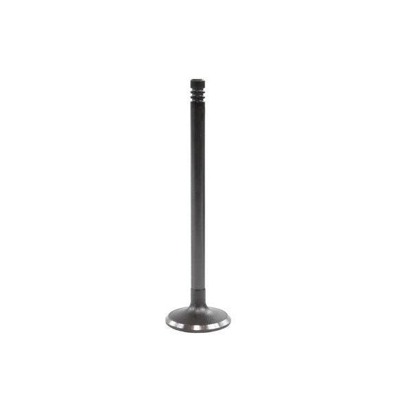 Intake Valve - 2009 BMW X5 3.0L Engine Parts # IV861ZE4
