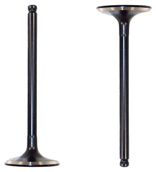 Intake Valve - 2004 Toyota Corolla 1.8L Engine Parts # IV946ZE14