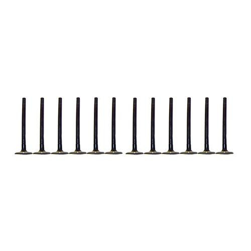 Exhaust and Intake Valve Kit - 1995 Ford Thunderbird 3.8L Engine Parts # VK124116ZE16