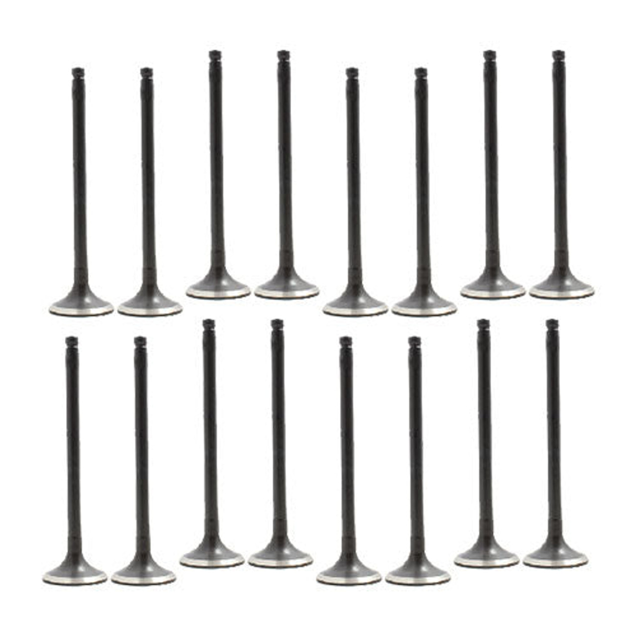 Exhaust and Intake Valve Kit - 2004 Nissan Sentra 1.8L Engine Parts # VK16641ZE14