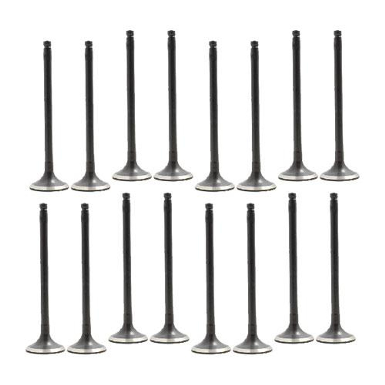 Exhaust and Intake Valve Kit - 2005 Nissan Sentra 1.8L Engine Parts # VK16641ZE15