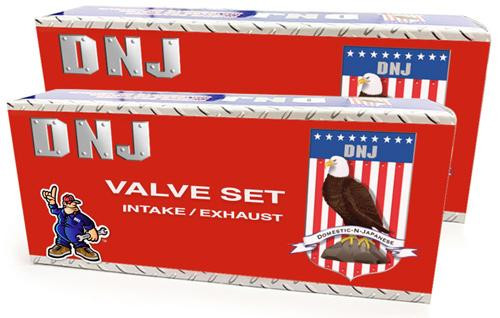 Exhaust and Intake Valve Kit - 2014 Nissan Juke 1.6L Engine Parts # VK16678ZE4