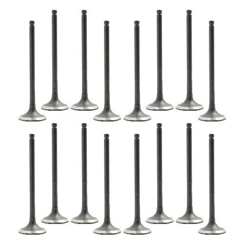 Exhaust and Intake Valve Kit - 2002 Toyota Prius 1.5L Engine Parts # VK16949ZE22