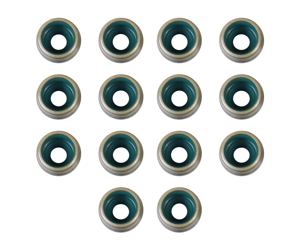 Valve Stem Seal - 2015 Cadillac ELR 1.4L Engine Parts # VSS343ZE9