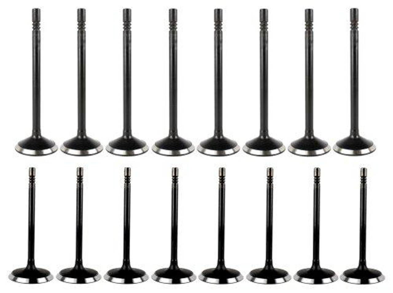 Exhaust and Intake Valve Kit for 2001 Dodge Dakota 4.7L|Engine Parts Only|VK161100XP3