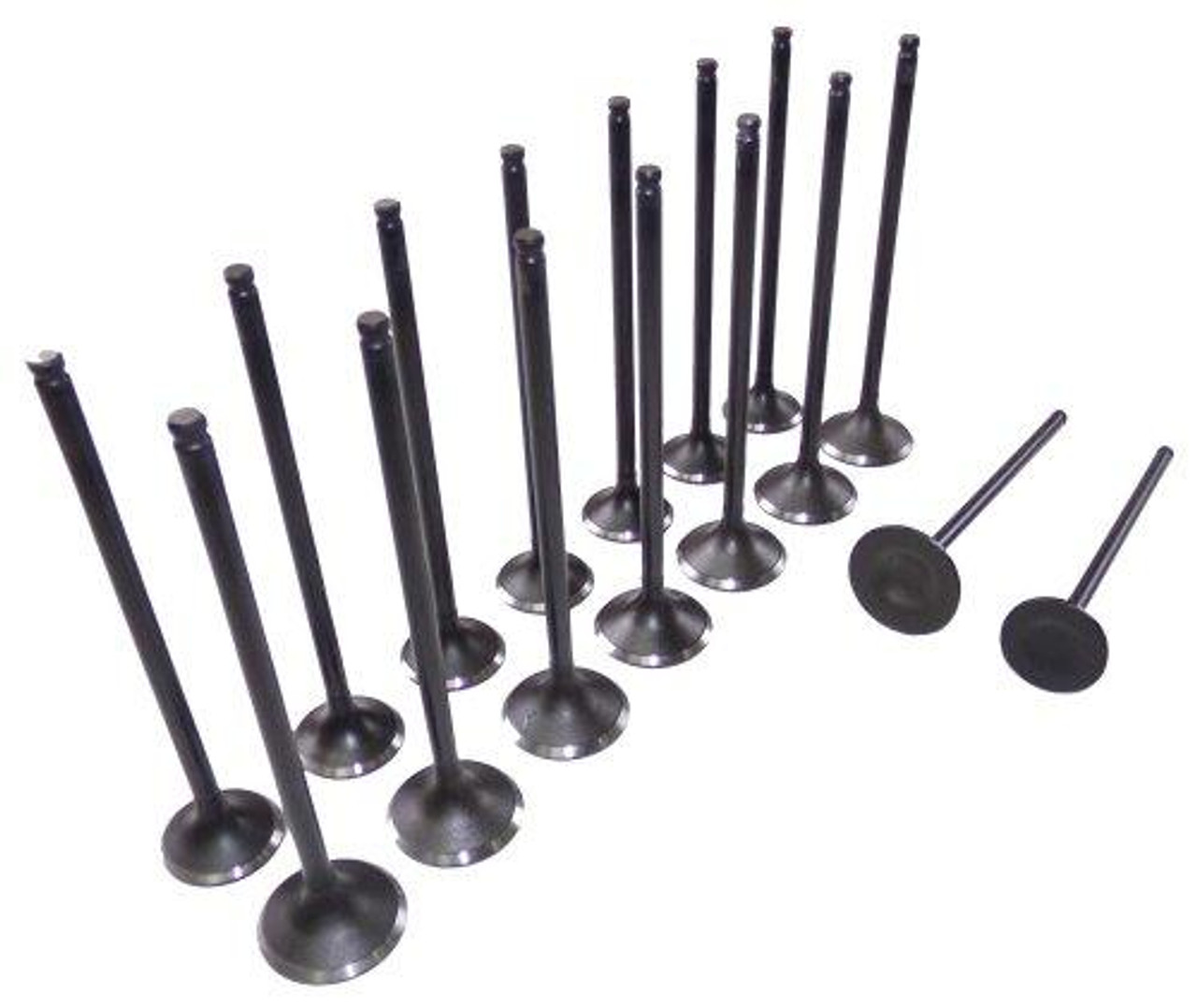 Exhaust and Intake Valve Kit for 2002 Daewoo Lanos 1.6L|Engine Parts Only|VK16309XP4