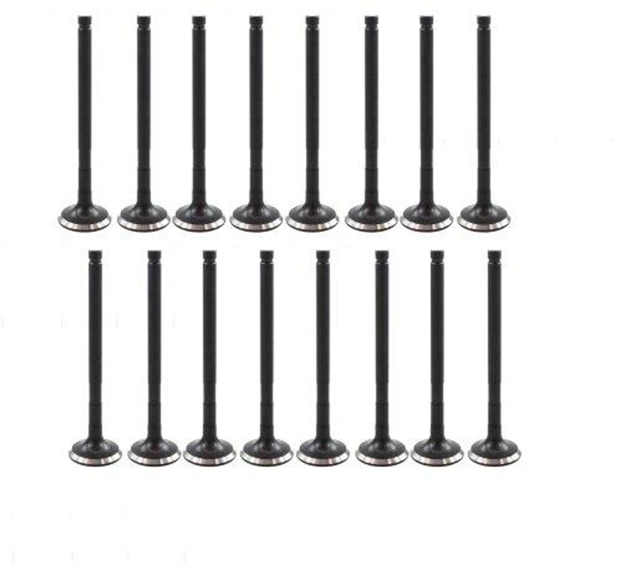 Exhaust and Intake Valve Kit for 1995 Toyota Tercel 1.5L|Engine Parts Only|VK16935XP8
